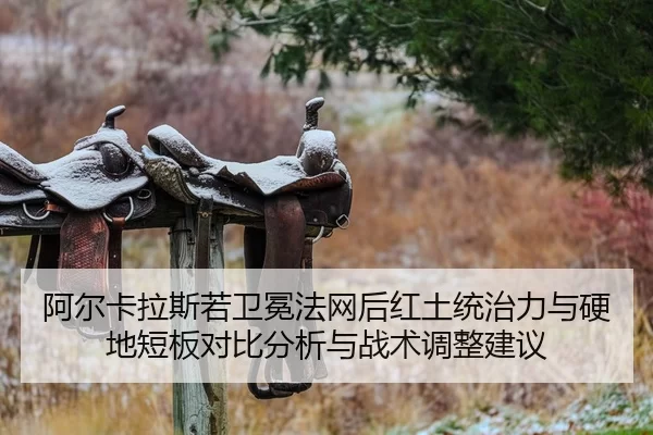 a-er-ka-la-si-ruo-wei-mian-fa-wang-hou-hong-tu-tong-zhi-li-yu-ying-di-duan-ban-dui-bi-fen-xi-yu-zhan-shu-tiao-zheng-2-478.jpg
