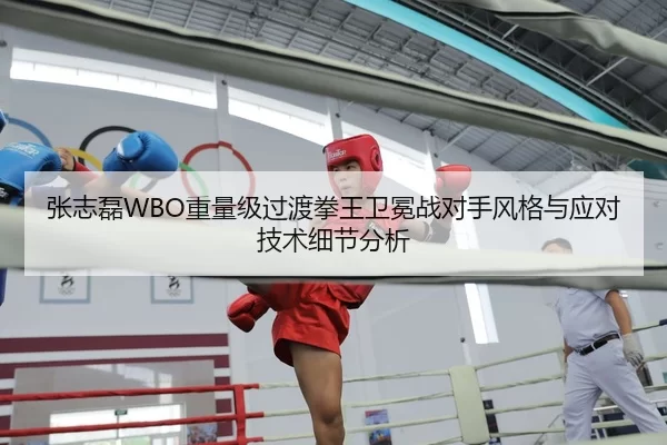 张志磊WBO重量级过渡拳王卫冕战对手风格与应对技术细节分析